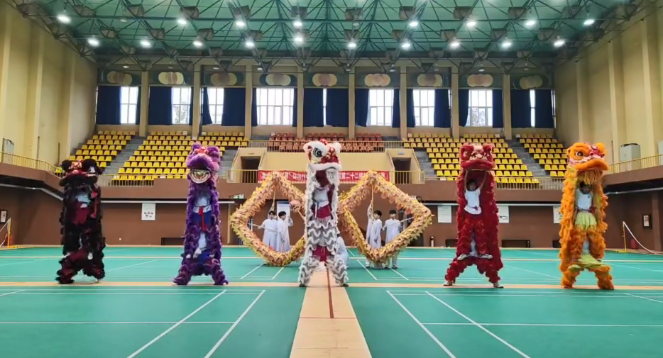 第十六届全国舞龙舞狮锦标赛汽院龙狮队照片三