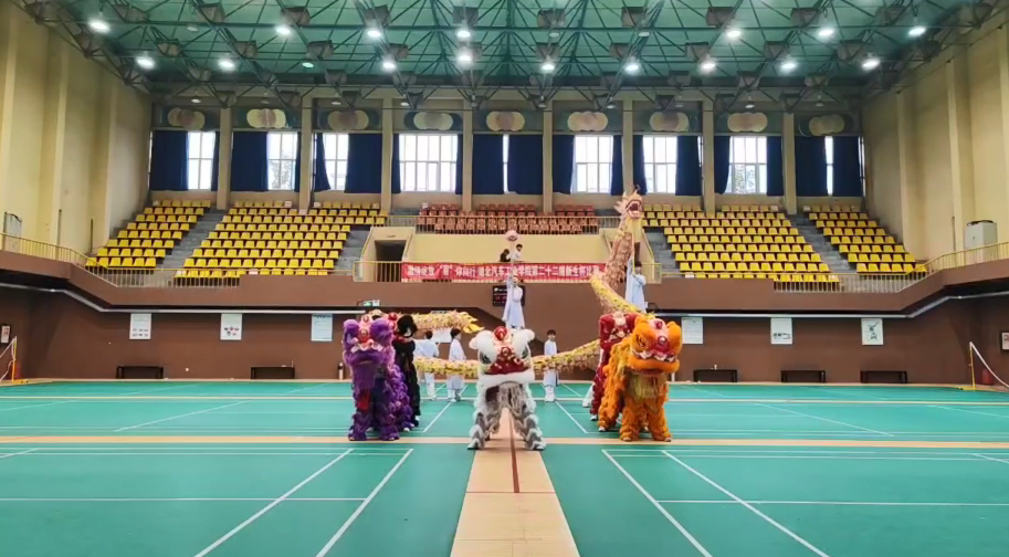 第十六届全国舞龙舞狮锦标赛汽院龙狮队照片二